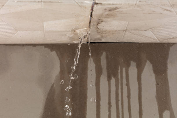 Professional Structural Drying technician working in Whitsett, TX